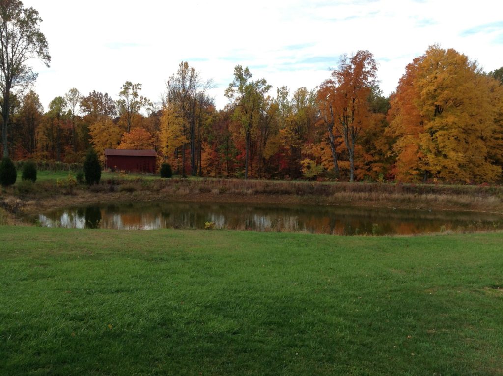 Butler Winery pond in the fall