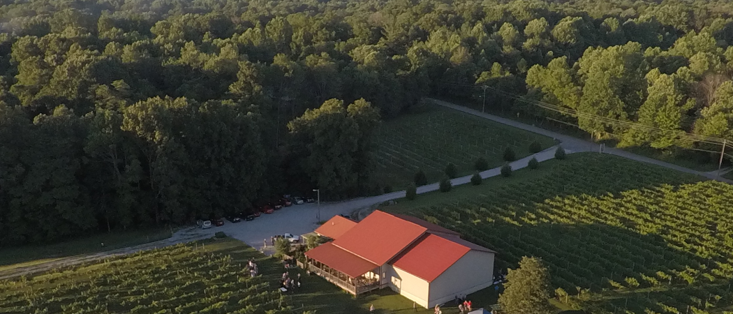 Aerial photo of vineyard with butler logo watermark