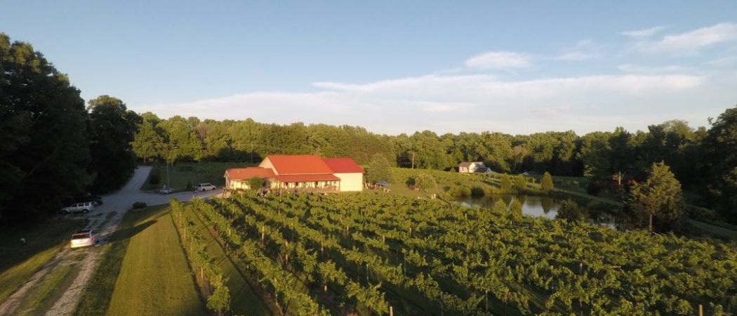 Butler Winery west vineyard aerial drone picture
