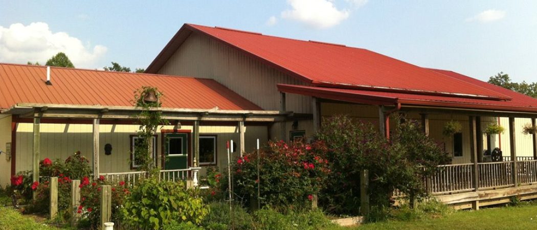 tasting room garden