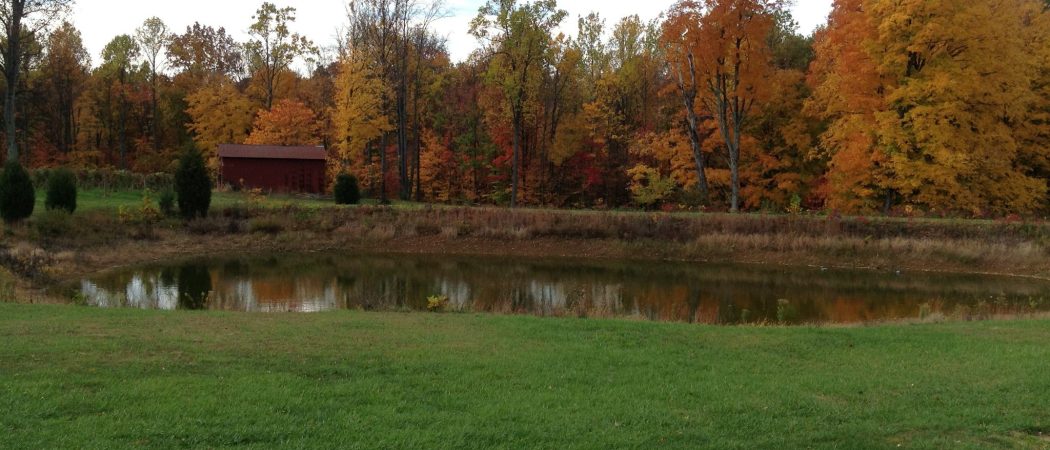 fall pond