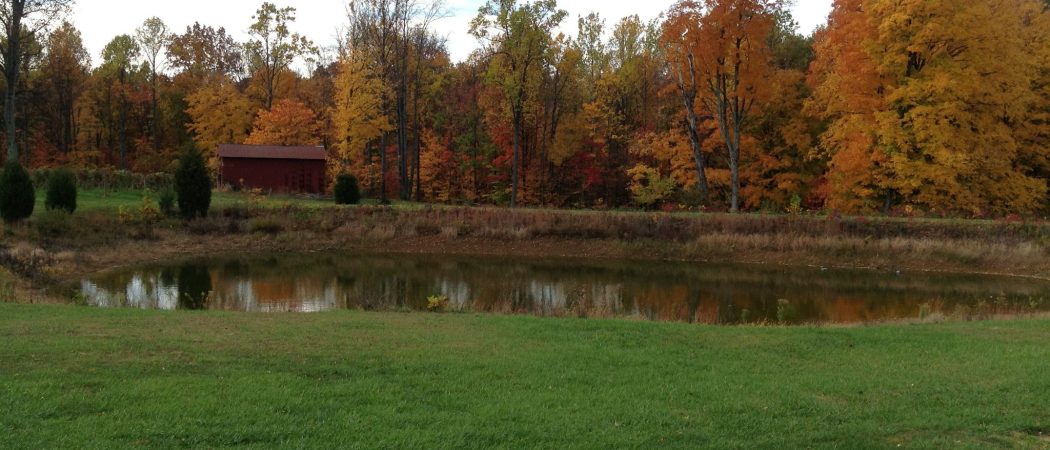 Butler Winery pond in the fall